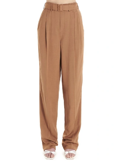 Shop Lemaire Belted Pants In Brown