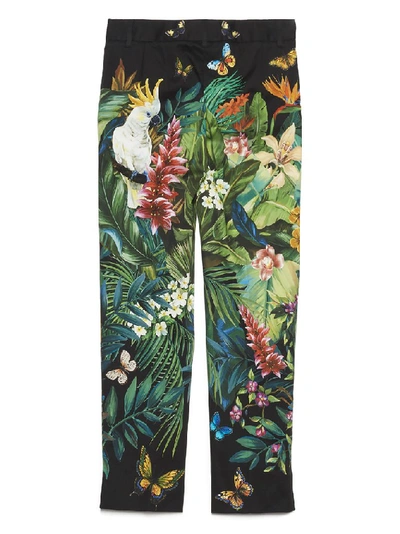 Shop Dolce & Gabbana Jungle Print Pants In Multi