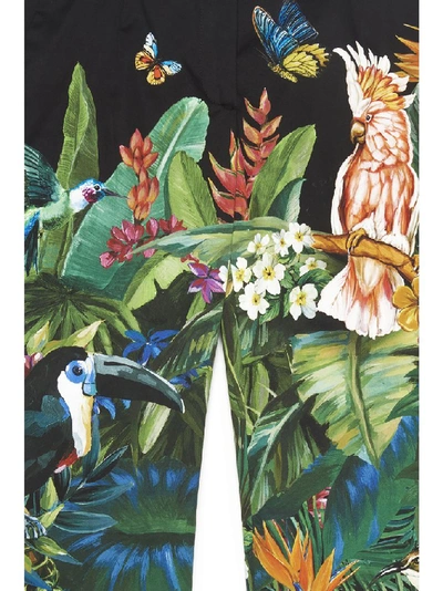 Shop Dolce & Gabbana Jungle Print Pants In Multi