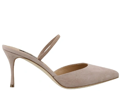 Shop Sergio Rossi Suede Slingback Pumps In Pink