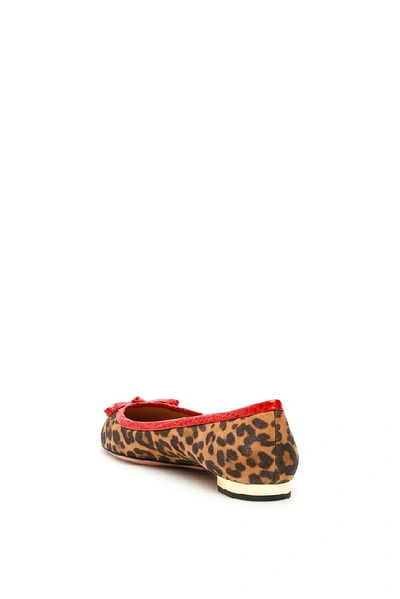 Shop Aquazzura Leopard Print Ballerinas In Multi