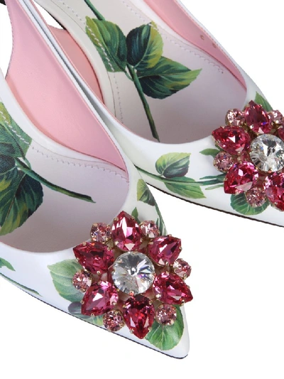 Shop Dolce & Gabbana Floral Embellished Slingback Pumps In Multi