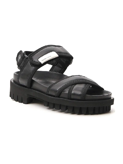 Shop Ganni Utility Hiking Sandals In Black