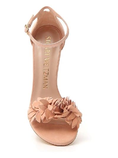 Shop Stuart Weitzman Floral Sandals In Pink