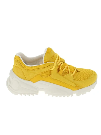 Shop Ferragamo Salvatore  Skylar Sneakers In Yellow