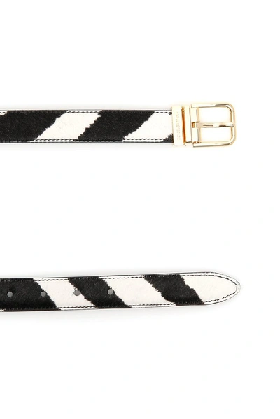 Shop Dolce & Gabbana Zebra Print Belt In Multi