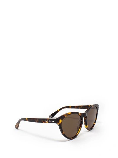 Shop Gucci Eyewear Cat Eye Frame Sunglasses In Brown