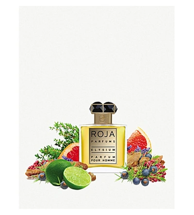 Roja Parfums Elysium Parfum Pour Homme 50ml