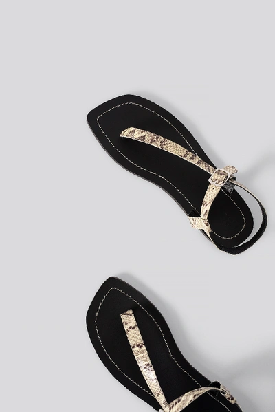 Shop Na-kd Leather Toe Strap Flats Multicolor In Snake