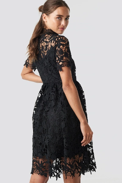 Shop Na-kd High Neck Short Sleeve Lace Dress Black