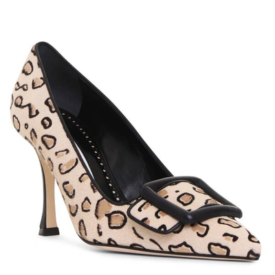 Shop Manolo Blahnik Maysalebi Leopard Pumps