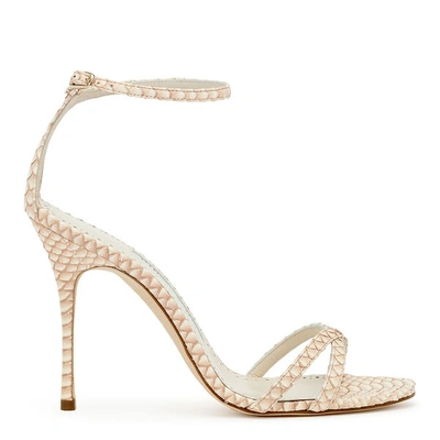 Shop Manolo Blahnik Paloma 105 Beige Degrade Snake Sandals In White/beige