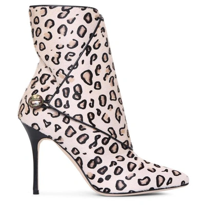 Shop Manolo Blahnik Daina Printed Leopard Ankle Boots