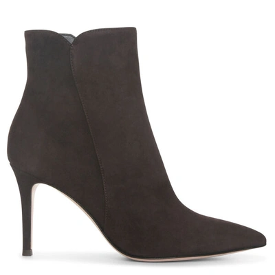 Shop Gianvito Rossi Levy Dark Brown Suede Ankle Boots