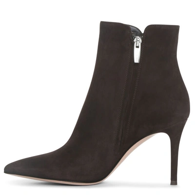 Shop Gianvito Rossi Levy Dark Brown Suede Ankle Boots