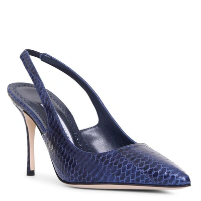 Shop Manolo Blahnik Allura Navy Watersnake Slingback Pumps