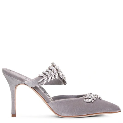 Shop Manolo Blahnik Lurum Grey Velvet Mules