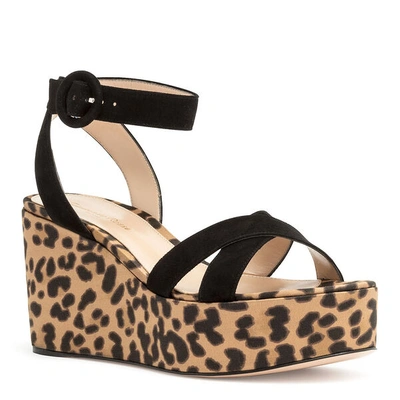 Shop Gianvito Rossi Black Suede Leopard Wedges