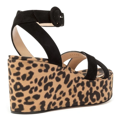 Shop Gianvito Rossi Black Suede Leopard Wedges