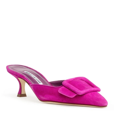 Shop Manolo Blahnik Maysale 50 Fuxia Suede Mules In Pink/purple