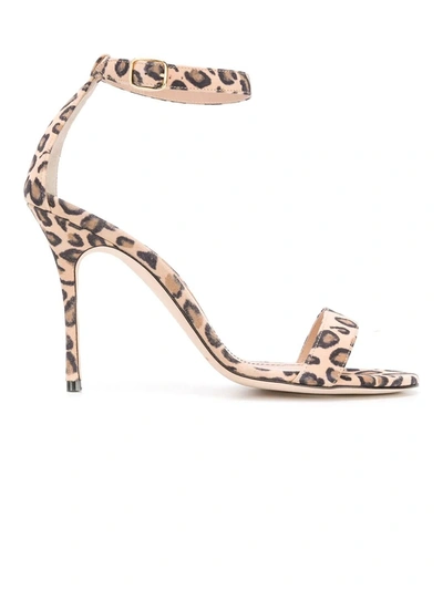 Shop Manolo Blahnik Leopard Print Chaos High Sandal