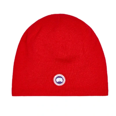 Shop Canada Goose Knitted Hat In Red