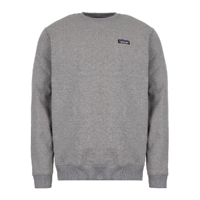 Shop Patagonia Sweatshirt Uprisal In Grey