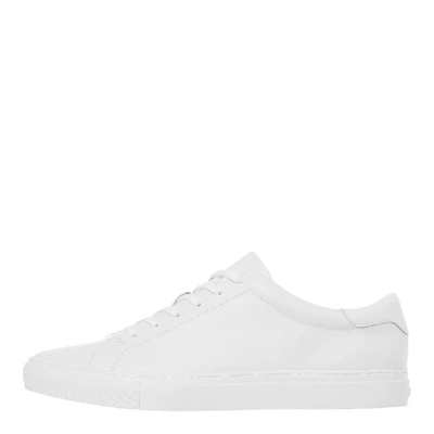 Polo Ralph Lauren Jermain Lux Leather Trainers In White