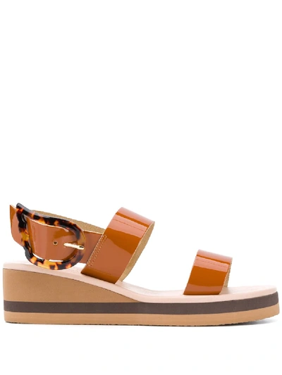 Shop Ancient Greek Sandals Clio Rainbow Sandals In Brown