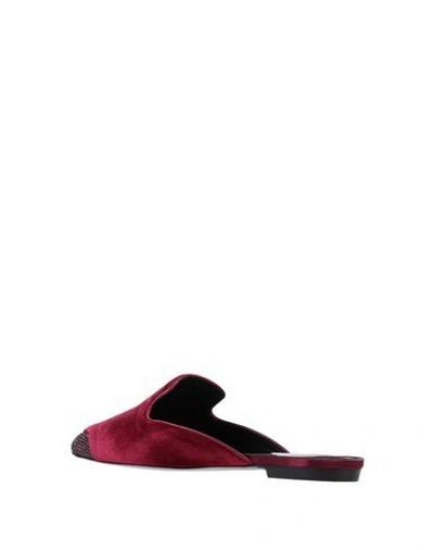 René Caovilla Mules In Maroon
