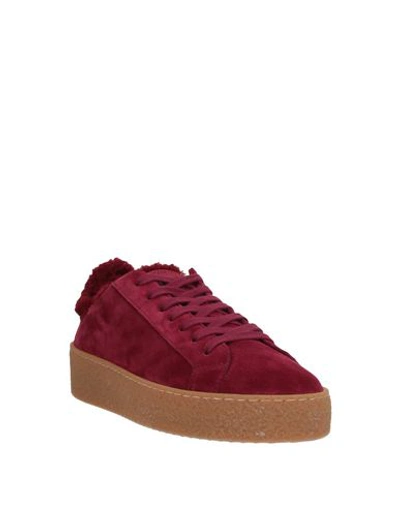 Shop Dsquared2 Sneakers In Maroon