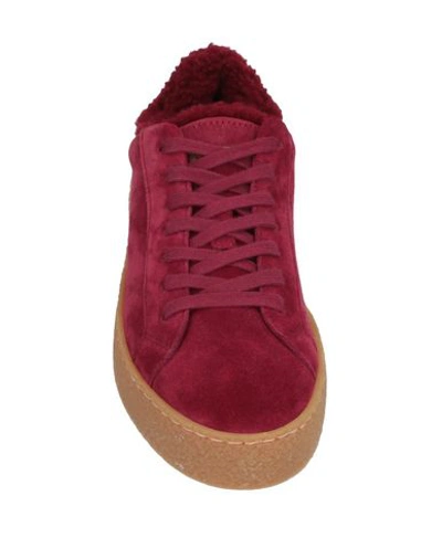 Shop Dsquared2 Sneakers In Maroon