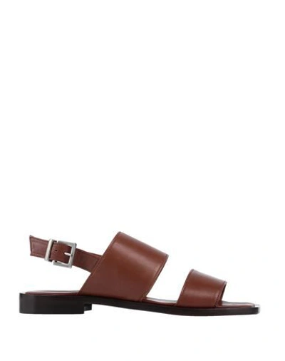 Shop Liviana Conti Sandals In Brown