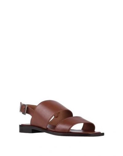 Shop Liviana Conti Sandals In Brown