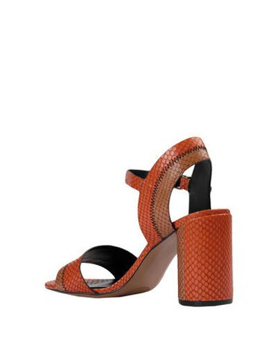 Shop Bruno Premi Woman Sandals Orange Size 7 Goat Skin