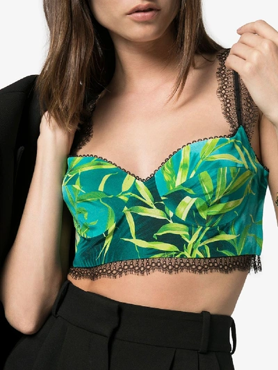 Shop Versace Jungle Print Lace Trim Bra Top In Green