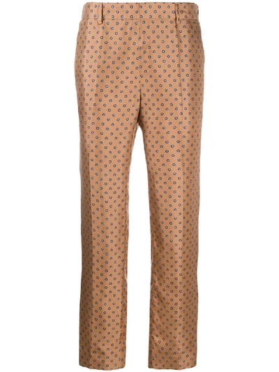 Shop Alberto Biani Polka Dot Print Trousers In Brown