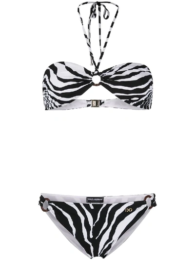 Shop Dolce & Gabbana Zebra Print Bikini In White