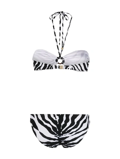 Shop Dolce & Gabbana Zebra Print Bikini In White