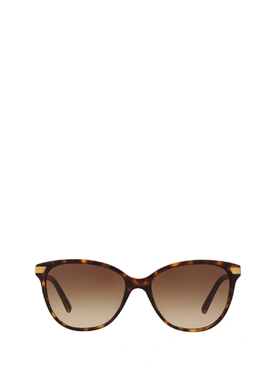 Shop Burberry Be4216 Dark Havana Sunglasses In 300213