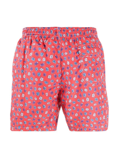 Shop Drumohr Badeshorts Mit Schildkröten-print In Red