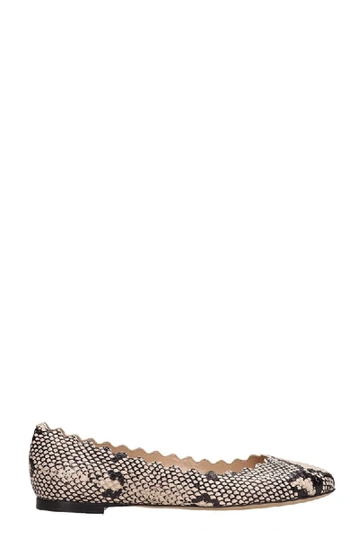 Shop Chloé Lauren Ballet Flats In Animalier Leather