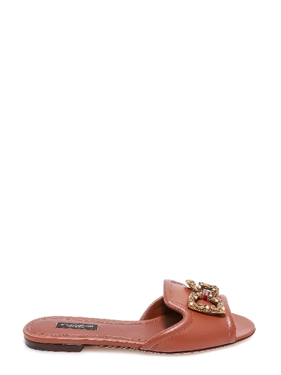 Shop Dolce & Gabbana Sandals In Desert