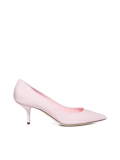 Shop Dolce & Gabbana Pink Cardinale Pumps