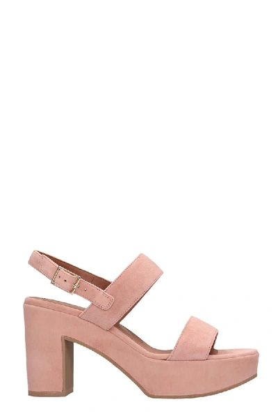 Shop L'autre Chose Sandals In Rose-pink Suede