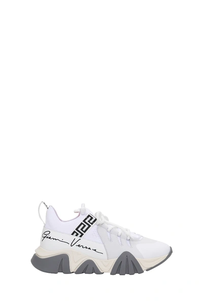 Shop Versace Squalo Gv Signature Sneakers With Print In Bianco