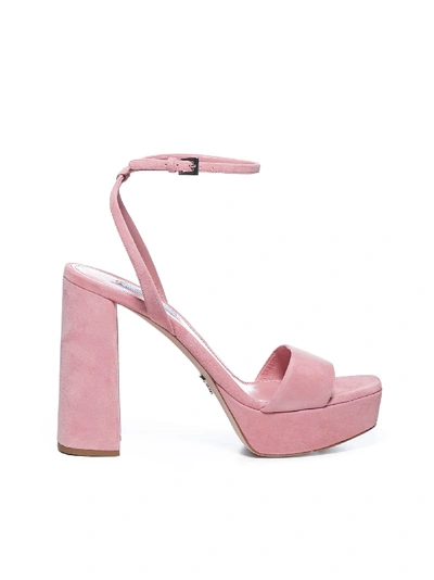 Shop Prada 115 Mm Sandals In Pink