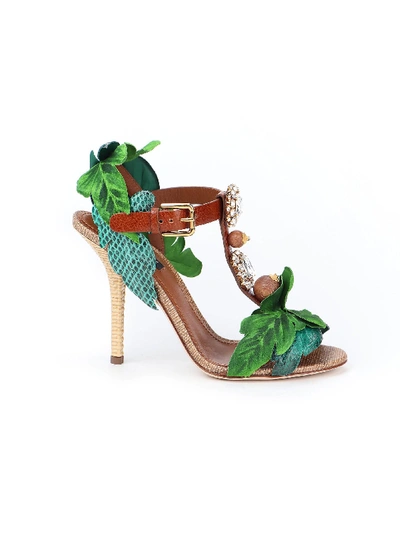 Shop Dolce & Gabbana Sandal In Deserto/smeraldo