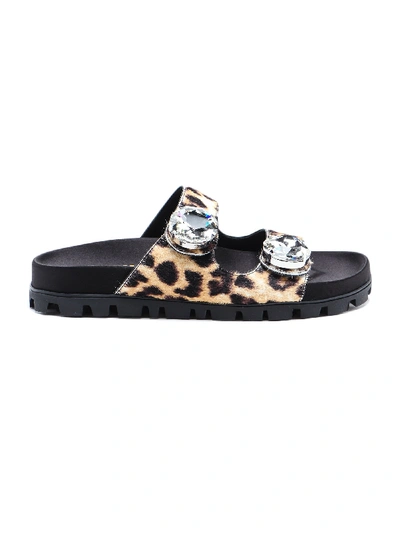 Shop Miu Miu Sandal Leo Print In Avorio