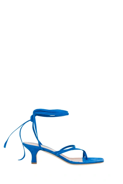 Shop Paris Texas Lace-up Sandals In Blu
